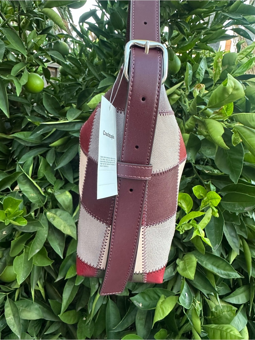 NWT COACHTOPHIA Alter/Ego Slouchy Shoulder Bag - Picture 3 of 5